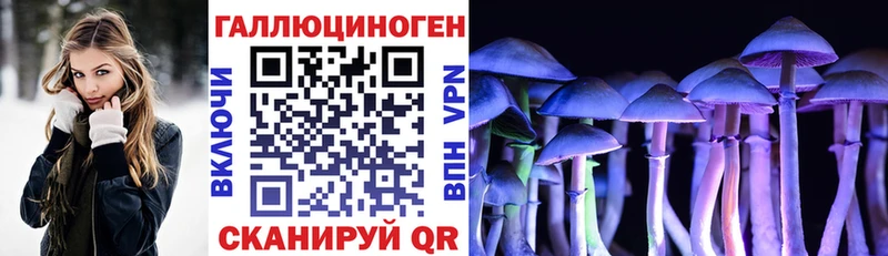 Галлюциногенные грибы MAGIC MUSHROOMS где продают Микунь